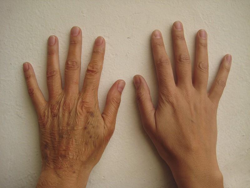 Un estudio logra ralentizar el envejecimiento de las células en levadura.