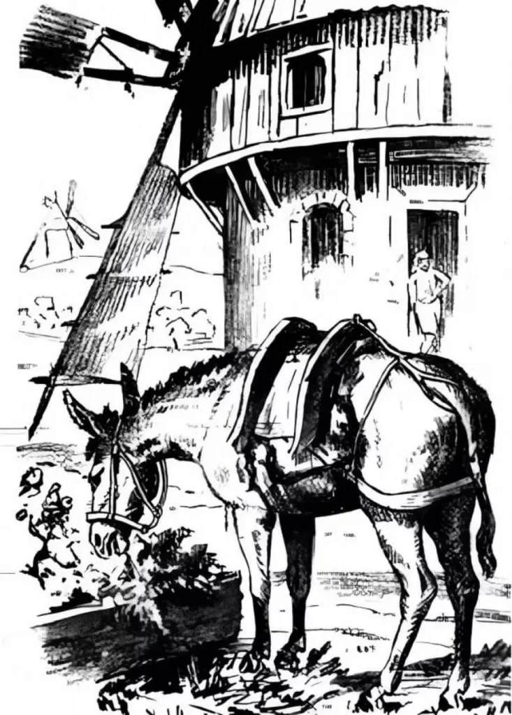 SOLO un GENIO con vista de halcón podrá hallar el ROSTRO escondido en este acertijo visual.