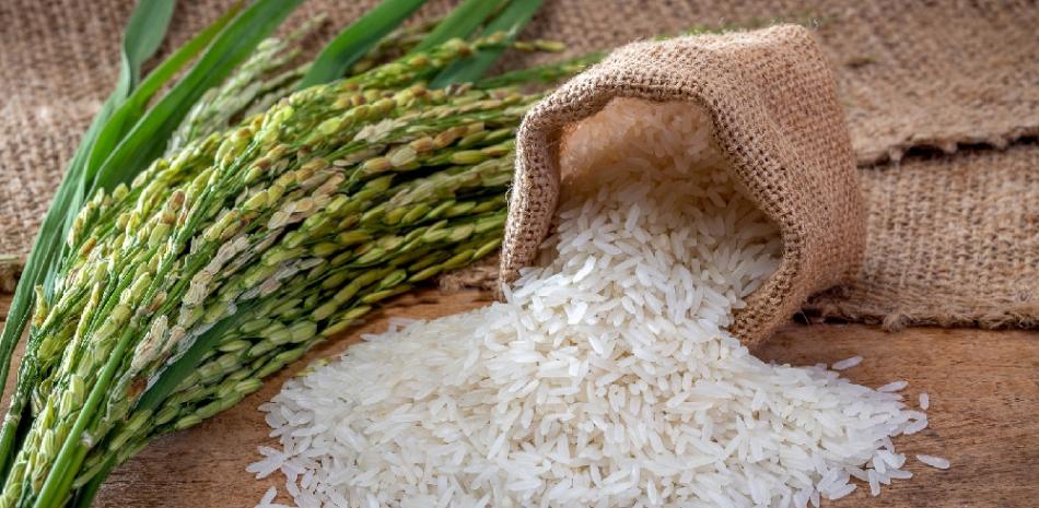 Exportaciones de arroz de EE.UU. a Haití tienen niveles nocivos de arsénico, según estudio.